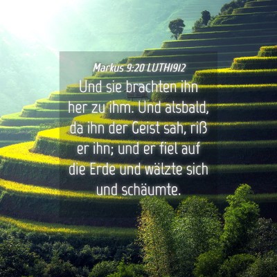 Picture 04 - Markus 9:20 LUTH1912 - Und sie brachten ihn her zu ihm. Und alsbald, da - Bible Verse Picture