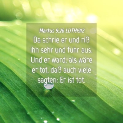 Picture 04 - Markus 9:26 LUTH1912 - Da schrie er und riß ihn sehr und fuhr aus. Und - Bible Verse Picture