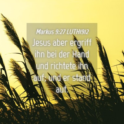 Picture 04 - Markus 9:27 LUTH1912 - Jesus aber ergriff ihn bei der Hand und richtete - Bible Verse Picture
