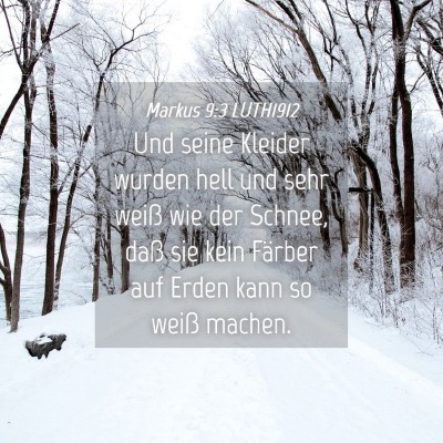 Picture 04 - Markus 9:3 LUTH1912 - Und seine Kleider wurden hell und sehr weiß wie - Bible Verse Picture