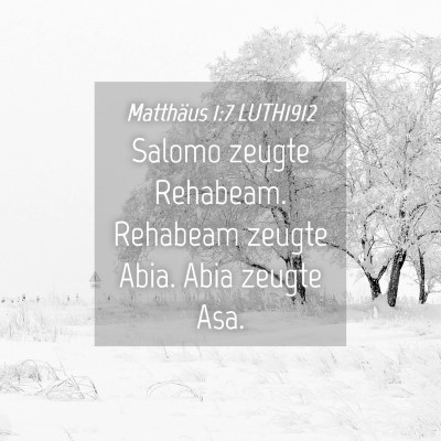 Picture 04 - Matthäus 1:7 LUTH1912 - Salomo zeugte Rehabeam. Rehabeam zeugte Abia. - Bible Verse Picture