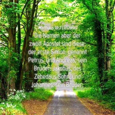 Picture 04 - Matthäus 10:2 LUTH1912 - Die Namen aber der zwölf Apostel sind diese: der - Bible Verse Picture