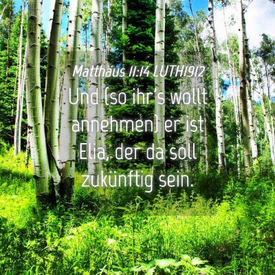 Picture 04 - Matthäus 11:14 LUTH1912 - Und (so ihr's wollt annehmen) er ist Elia, der da - Bible Verse Picture