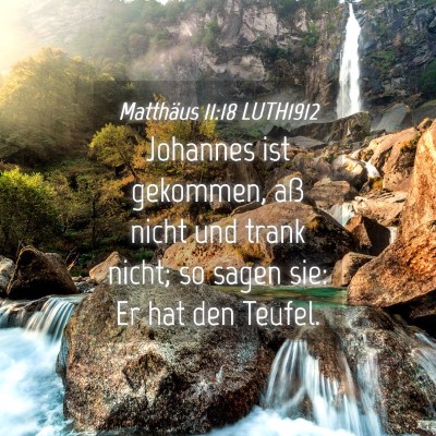 Picture 04 - Matthäus 11:18 LUTH1912 - Johannes ist gekommen, aß nicht und trank nicht; - Bible Verse Picture
