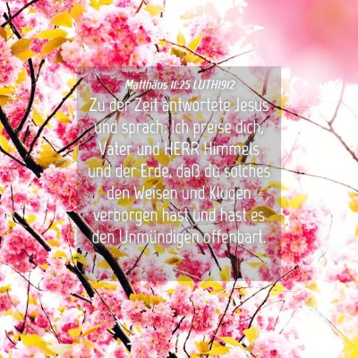 Picture 04 - Matthäus 11:25 LUTH1912 - Zu der Zeit antwortete Jesus und sprach: Ich - Bible Verse Picture
