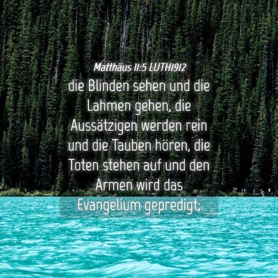 Picture 04 - Matthäus 11:5 LUTH1912 - die Blinden sehen und die Lahmen gehen, die - Bible Verse Picture