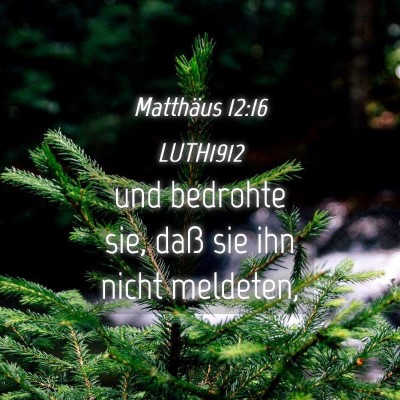 Picture 04 - Matthäus 12:16 LUTH1912 - und bedrohte sie, daß sie ihn nicht - Bible Verse Picture
