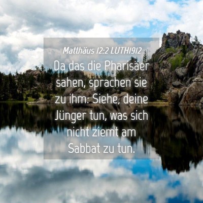 Picture 04 - Matthäus 12:2 LUTH1912 - Da das die Pharisäer sahen, sprachen sie zu ihm: - Bible Verse Picture