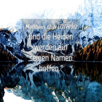 Picture 04 - Matthäus 12:21 LUTH1912 - und die Heiden werden auf seinen Namen - Bible Verse Picture