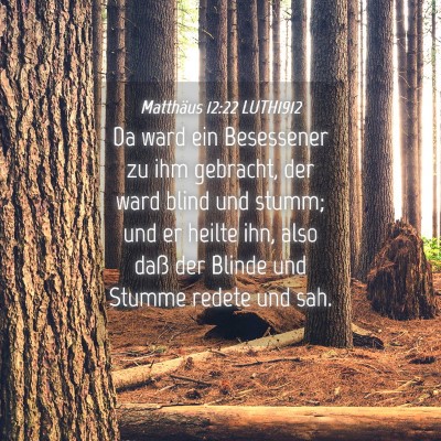 Picture 04 - Matthäus 12:22 LUTH1912 - Da ward ein Besessener zu ihm gebracht, der ward - Bible Verse Picture