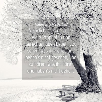 Picture 04 - Matthäus 13:17 LUTH1912 - Wahrlich ich sage euch: Viele Propheten und - Bible Verse Picture