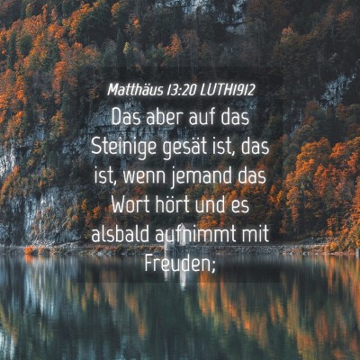 Picture 04 - Matthäus 13:20 LUTH1912 - Das aber auf das Steinige gesät ist, das ist, - Bible Verse Picture