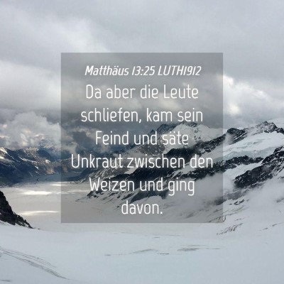 Picture 04 - Matthäus 13:25 LUTH1912 - Da aber die Leute schliefen, kam sein Feind und - Bible Verse Picture