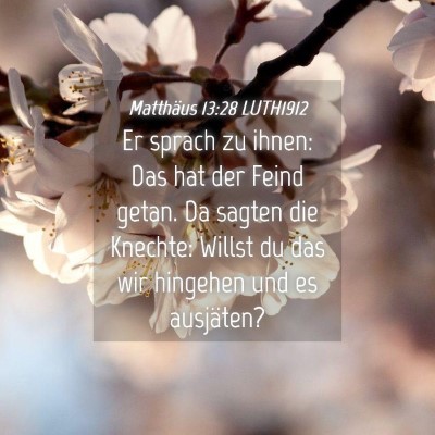 Picture 04 - Matthäus 13:28 LUTH1912 - Er sprach zu ihnen: Das hat der Feind getan. Da - Bible Verse Picture