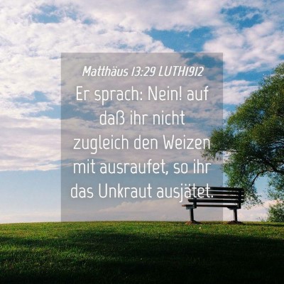 Picture 04 - Matthäus 13:29 LUTH1912 - Er sprach: Nein! auf daß ihr nicht zugleich den - Bible Verse Picture