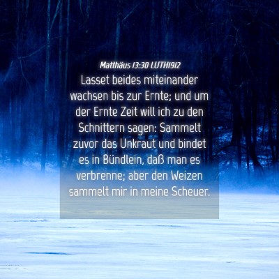 Picture 04 - Matthäus 13:30 LUTH1912 - Lasset beides miteinander wachsen bis zur Ernte; - Bible Verse Picture