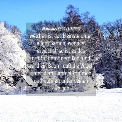 Picture 04 - Matthäus 13:32 LUTH1912 - welches ist das kleinste unter allem Samen; wenn - Bible Verse Picture
