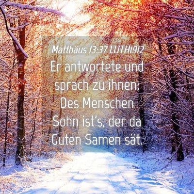 Picture 04 - Matthäus 13:37 LUTH1912 - Er antwortete und sprach zu ihnen: Des Menschen - Bible Verse Picture