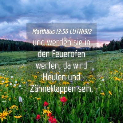 Picture 04 - Matthäus 13:50 LUTH1912 - und werden sie in den Feuerofen werfen; da wird - Bible Verse Picture