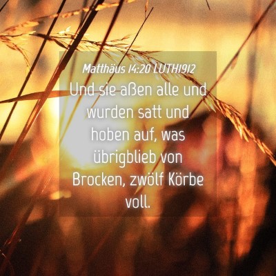 Picture 04 - Matthäus 14:20 LUTH1912 - Und sie aßen alle und wurden satt und hoben auf, - Bible Verse Picture