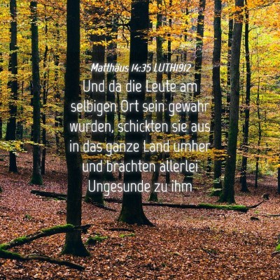 Picture 04 - Matthäus 14:35 LUTH1912 - Und da die Leute am selbigen Ort sein gewahr - Bible Verse Picture