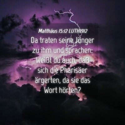 Picture 04 - Matthäus 15:12 LUTH1912 - Da traten seine Jünger zu ihm und sprachen: - Bible Verse Picture