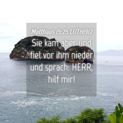 Picture 04 - Matthäus 15:25 LUTH1912 - Sie kam aber und fiel vor ihm nieder und sprach: - Bible Verse Picture