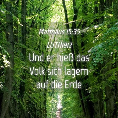 Picture 04 - Matthäus 15:35 LUTH1912 - Und er hieß das Volk sich lagern auf die - Bible Verse Picture