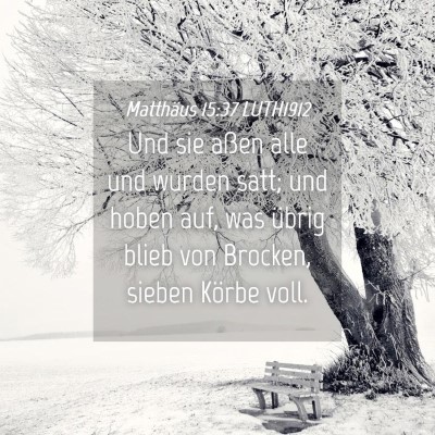 Picture 04 - Matthäus 15:37 LUTH1912 - Und sie aßen alle und wurden satt; und hoben - Bible Verse Picture