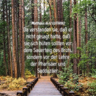 Picture 04 - Matthäus 16:12 LUTH1912 - Da verstanden sie, daß er nicht gesagt hatte, - Bible Verse Picture