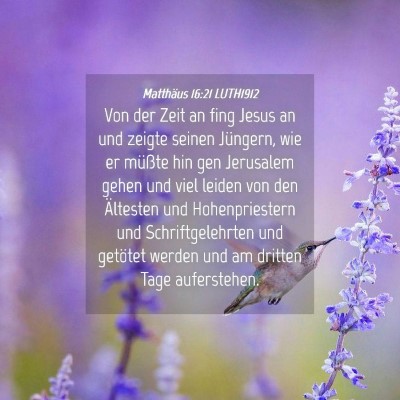 Picture 04 - Matthäus 16:21 LUTH1912 - Von der Zeit an fing Jesus an und zeigte seinen - Bible Verse Picture
