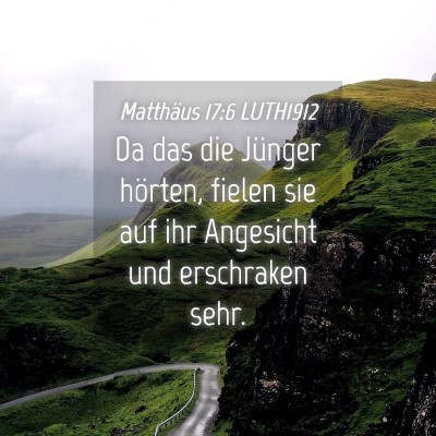 Picture 04 - Matthäus 17:6 LUTH1912 - Da das die Jünger hörten, fielen sie auf ihr - Bible Verse Picture