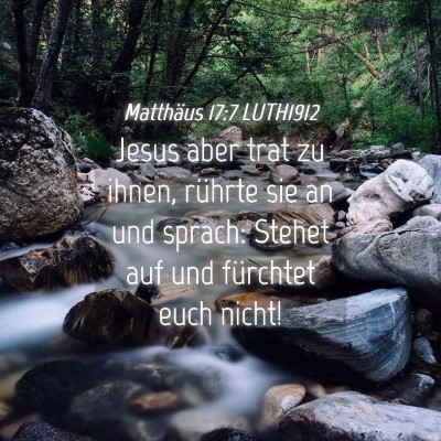 Picture 04 - Matthäus 17:7 LUTH1912 - Jesus aber trat zu ihnen, rührte sie an und - Bible Verse Picture