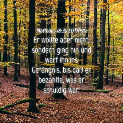 Picture 04 - Matthäus 18:30 LUTH1912 - Er wollte aber nicht, sondern ging hin und warf - Bible Verse Picture