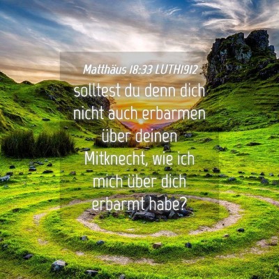 Picture 04 - Matthäus 18:33 LUTH1912 - solltest du denn dich nicht auch erbarmen über - Bible Verse Picture