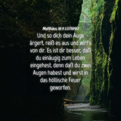 Picture 04 - Matthäus 18:9 LUTH1912 - Und so dich dein Auge ärgert, reiß es aus und - Bible Verse Picture