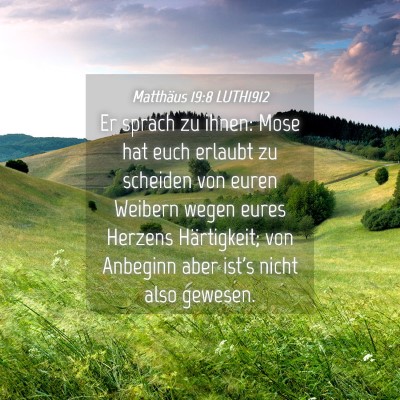 Picture 04 - Matthäus 19:8 LUTH1912 - Er sprach zu ihnen: Mose hat euch erlaubt zu - Bible Verse Picture