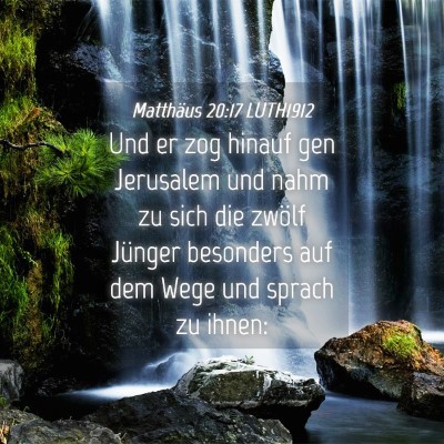 Picture 04 - Matthäus 20:17 LUTH1912 - Und er zog hinauf gen Jerusalem und nahm zu sich - Bible Verse Picture