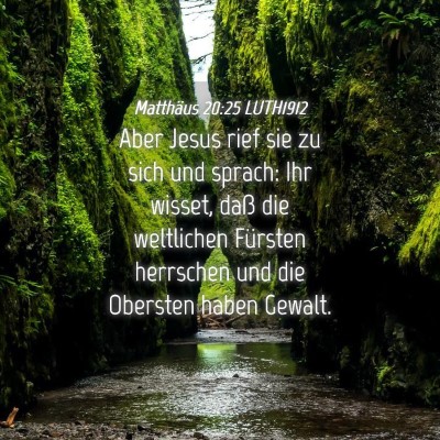 Picture 04 - Matthäus 20:25 LUTH1912 - Aber Jesus rief sie zu sich und sprach: Ihr - Bible Verse Picture