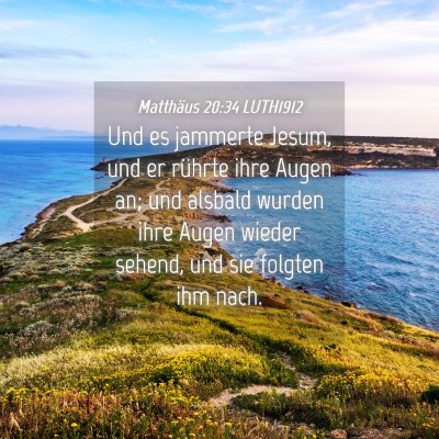 Picture 04 - Matthäus 20:34 LUTH1912 - Und es jammerte Jesum, und er rührte ihre Augen - Bible Verse Picture