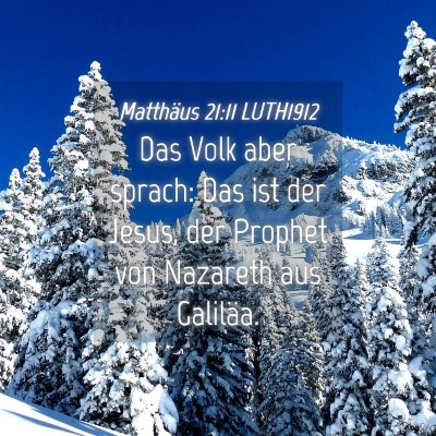 Picture 04 - Matthäus 21:11 LUTH1912 - Das Volk aber sprach: Das ist der Jesus, der - Bible Verse Picture