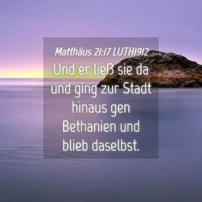 Picture 04 - Matthäus 21:17 LUTH1912 - Und er ließ sie da und ging zur Stadt hinaus gen - Bible Verse Picture