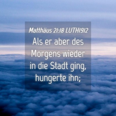 Picture 04 - Matthäus 21:18 LUTH1912 - Als er aber des Morgens wieder in die Stadt ging, - Bible Verse Picture