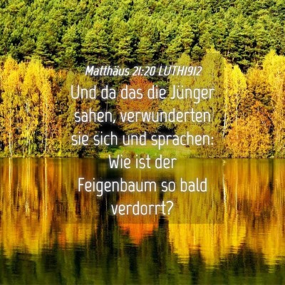 Picture 04 - Matthäus 21:20 LUTH1912 - Und da das die Jünger sahen, verwunderten sie - Bible Verse Picture