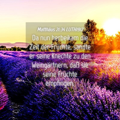 Picture 04 - Matthäus 21:34 LUTH1912 - Da nun herbeikam die Zeit der Früchte, sandte er - Bible Verse Picture