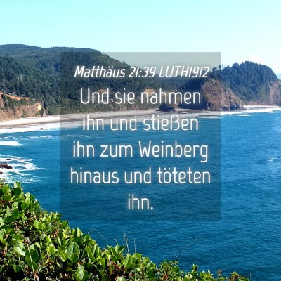 Picture 04 - Matthäus 21:39 LUTH1912 - Und sie nahmen ihn und stießen ihn zum Weinberg - Bible Verse Picture