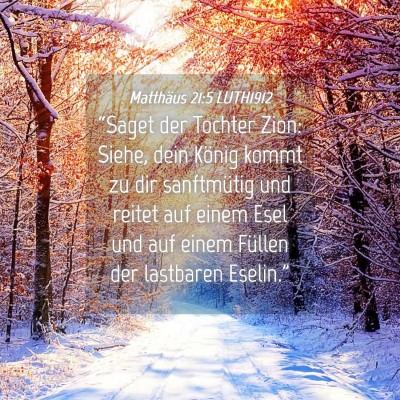 Picture 04 - Matthäus 21:5 LUTH1912 - “Saget der Tochter Zion: Siehe, dein König - Bible Verse Picture