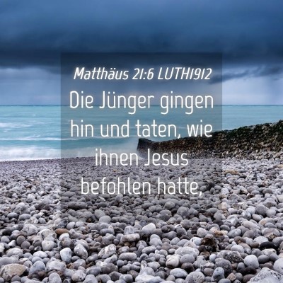 Picture 04 - Matthäus 21:6 LUTH1912 - Die Jünger gingen hin und taten, wie ihnen Jesus - Bible Verse Picture