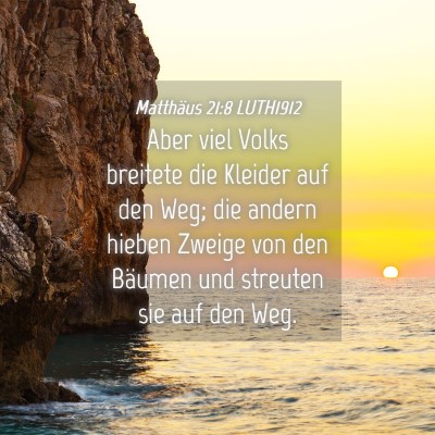 Picture 04 - Matthäus 21:8 LUTH1912 - Aber viel Volks breitete die Kleider auf den Weg; - Bible Verse Picture