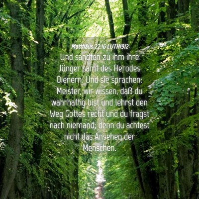 Picture 04 - Matthäus 22:16 LUTH1912 - Und sandten zu ihm ihre Jünger samt des Herodes - Bible Verse Picture